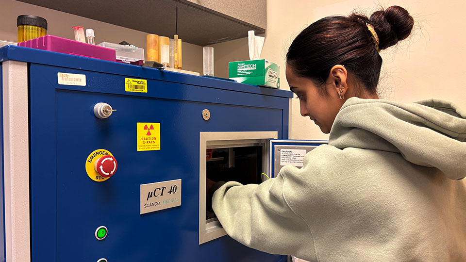 Researcher loading a sample into a blue imaging system for microcomputed tomography inside a laboratory.