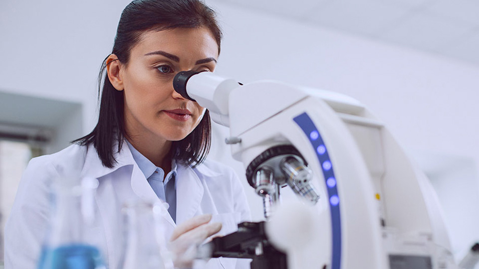 A researcher prepares a microscope slide at a laboratory workstation surrounded by scientific glassware.
