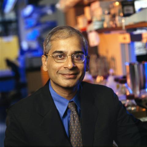 Ravi Kane's profile picture